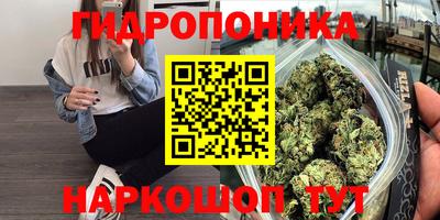 крисы Апшеронск