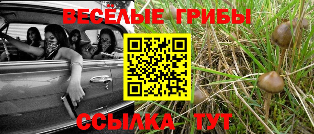 Галлюциногенные грибы мухоморы Богородицк