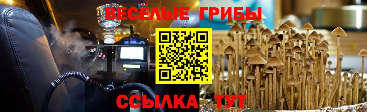 Псилоцибиновые грибы GOLDEN TEACHER  Вход с VPN  Богородицк 